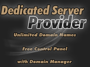 Budget dedicated servers hosting service